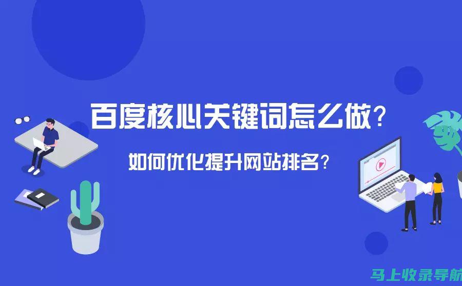 SEO查询百科：搜索引擎优化的完全指南